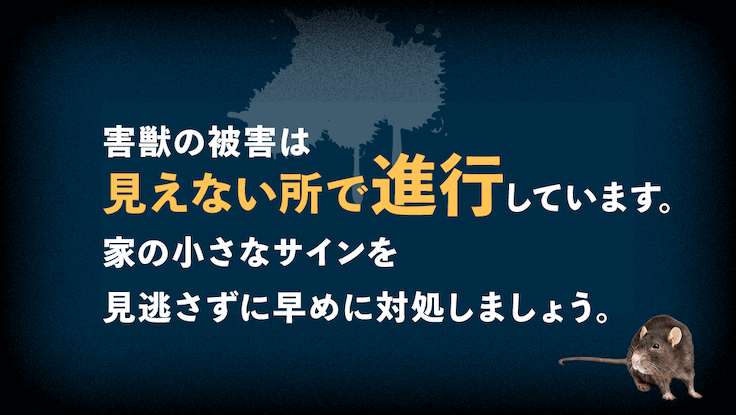 害獣の被害は見えないところで進行します。家の小さなサインを見逃さずに早めに対処しましょう。