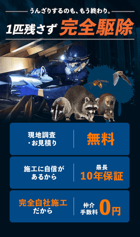 うんざりするのももう終わり。一匹残らず完全駆除。現地調査・お見積もり無料。施工に自信があるから、最長10年の再発保証。完全自社施工だから仲介手数料0円