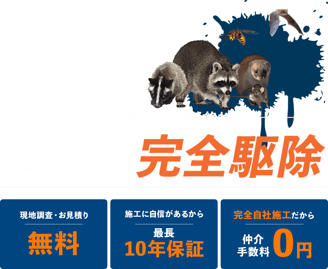 うんざりするのももう終わり。一匹残らず完全駆除。現地調査・お見積もり無料。施工に自信があるから、最長10年の再発保証。完全自社施工だから仲介手数料0円