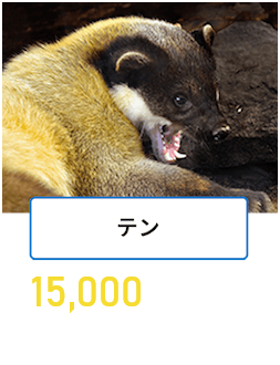 テン